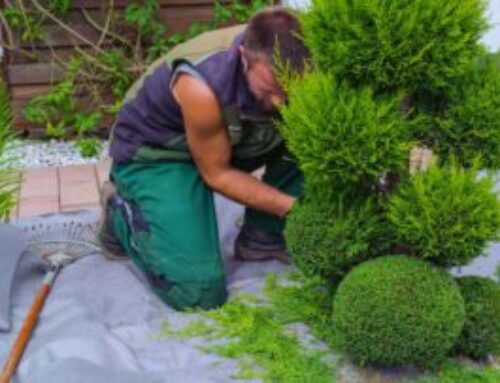Saisonale Gartenpflege: Was im Frühling Wirklich Wichtig Ist – Profi-Tipps für Ihre Gartensaison