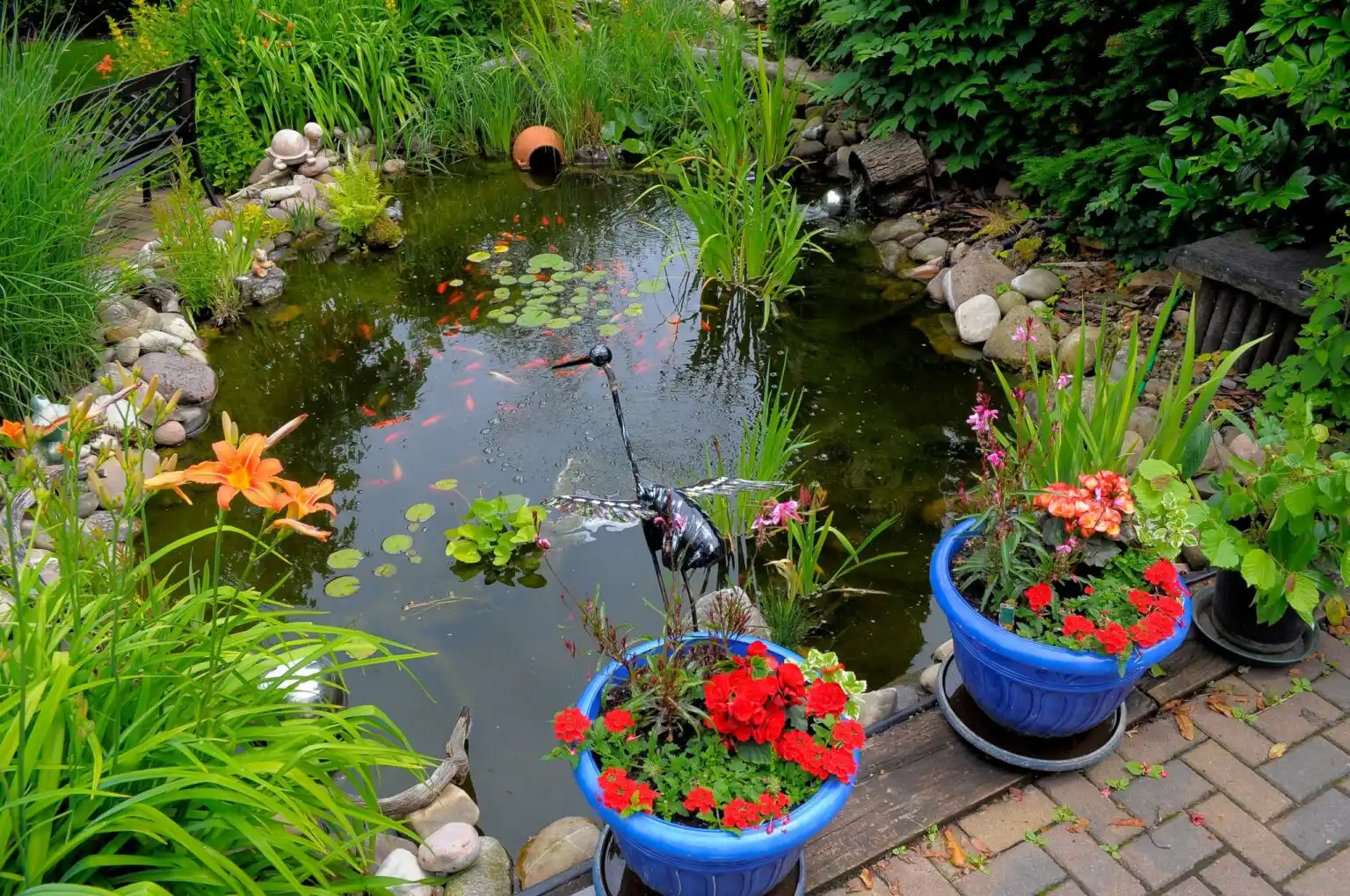 Nachhaltig gestalteter Garten mit heimischen Pflanzen