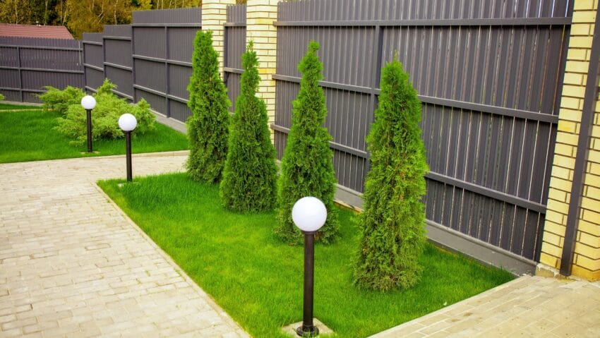 Gartengestaltung und Planung vom Fachbetrieb