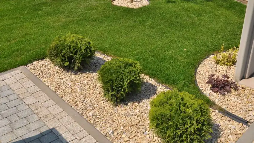 Pflanzarbeiten vom Gartenprofi